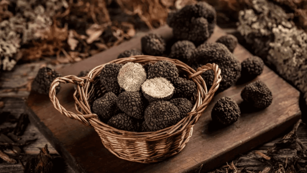 Panier en osier rempli de truffes posé sur une planche en bois aussi entourée de truffes.